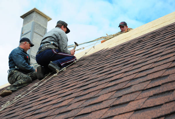 Best Metal Roofing Contractor  in Nappanee, IN