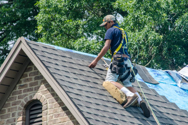 Best Gutter Installation and Roofing  in Nappanee, IN