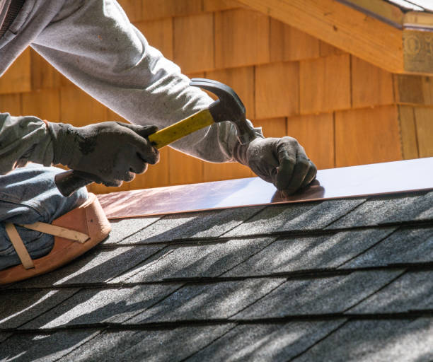 Best Residential Roofing Contractor  in Nappanee, IN